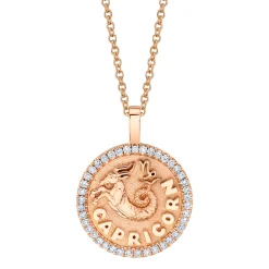 Fashion CAPRICORN ZODIAC COIN PENDANT WITH DIAMOND FRAME Pendants|Zodiac Coins